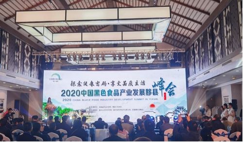 2020中國黑色食品產(chǎn)業(yè)發(fā)展黟縣峰會成功舉辦 推動(dòng)產(chǎn)業(yè)創(chuàng)新與數(shù)字化轉(zhuǎn)型